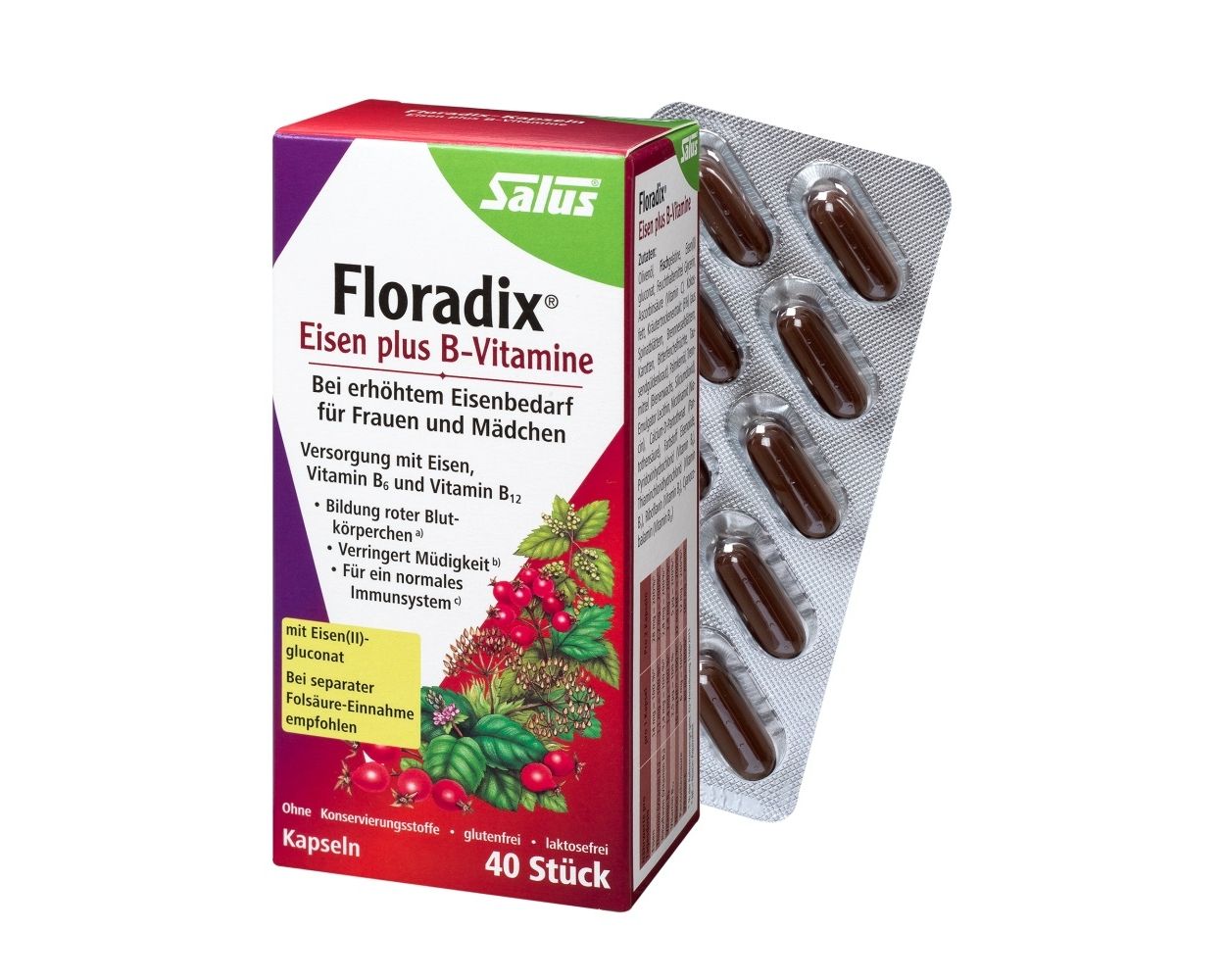 Salus Floradix Eisen Plus B Vitamine Vitalia Reformhaus Onlineshop